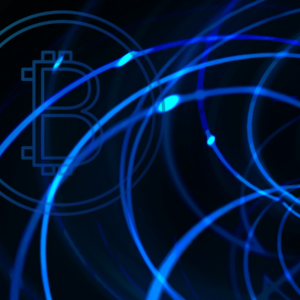 From Satoshi to Stability: Bitcoin Distinctive Edge